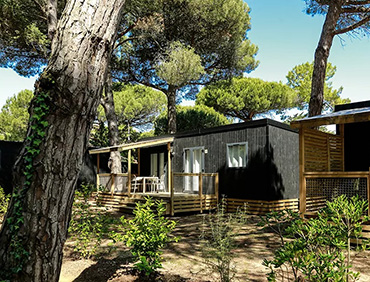 Le Concept Nomad : pour un camping écoresponsable